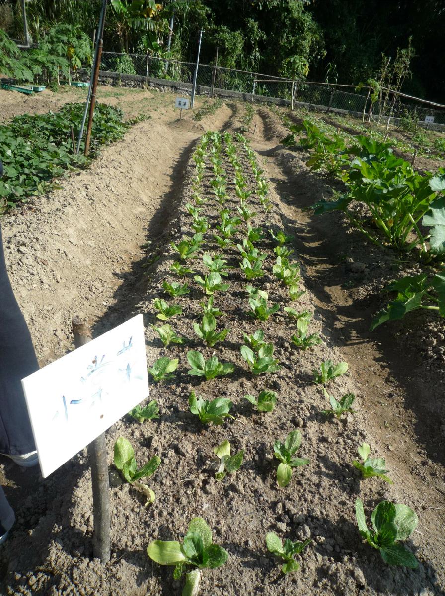 20101205 The Organic Farm17